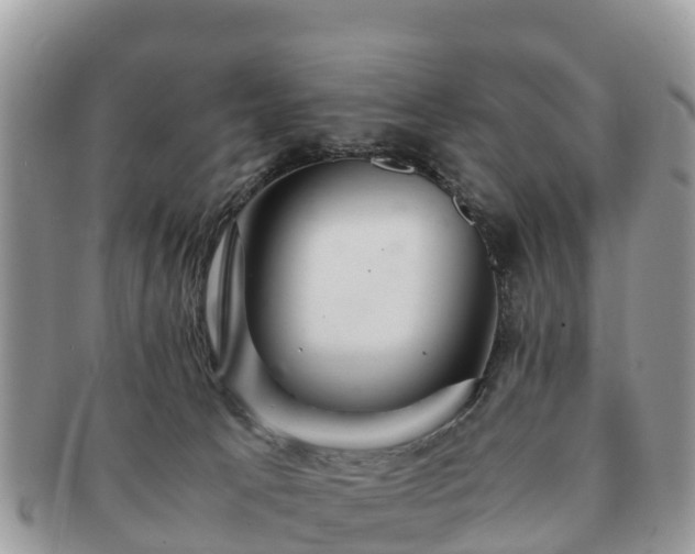 X0000091180033200708161526