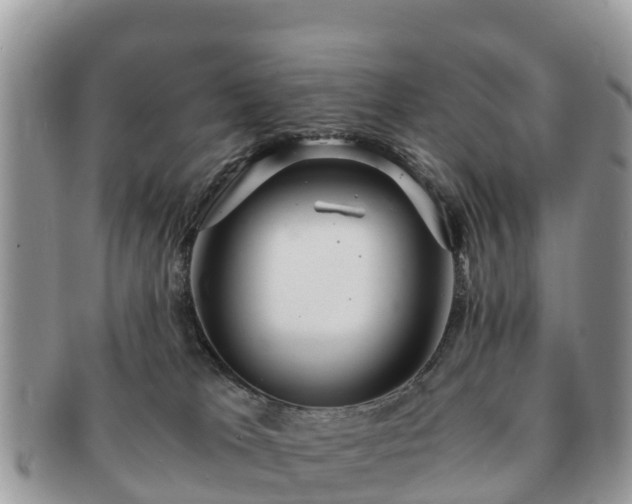 X0000091180037200708161526