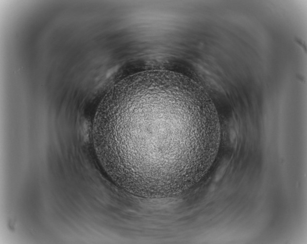 X0000091180038200708161526
