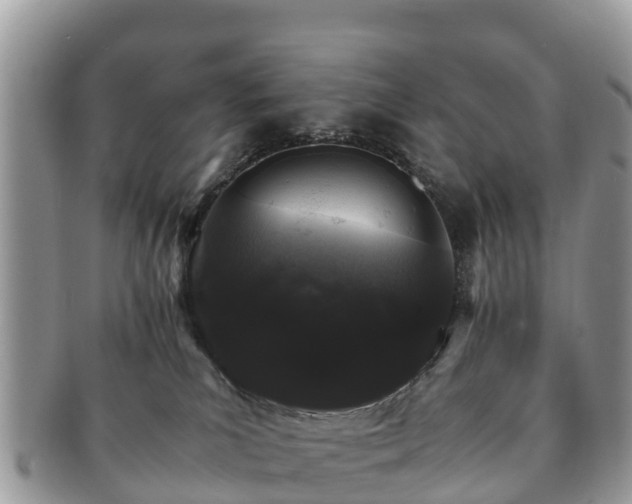 X0000091180039200708161526