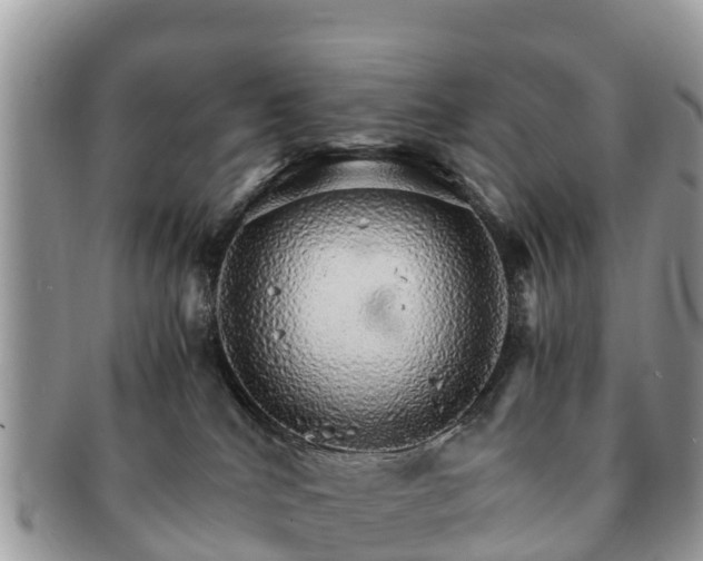X0000091180040200708161526