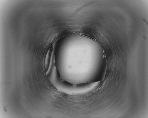 X0000091180041200708161526