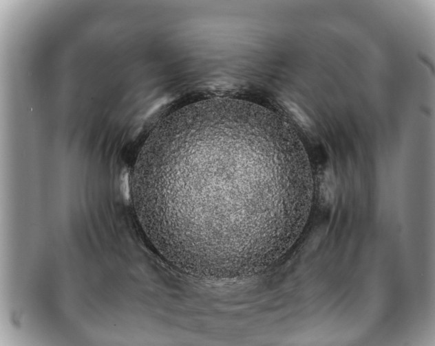 X0000091180042200708161526