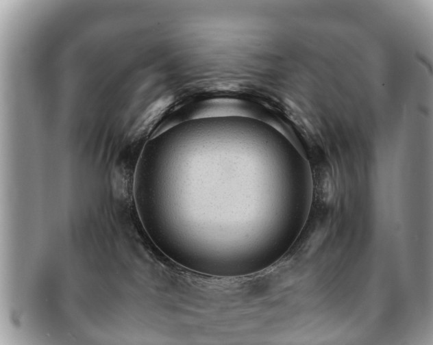 X0000091180044200708161526