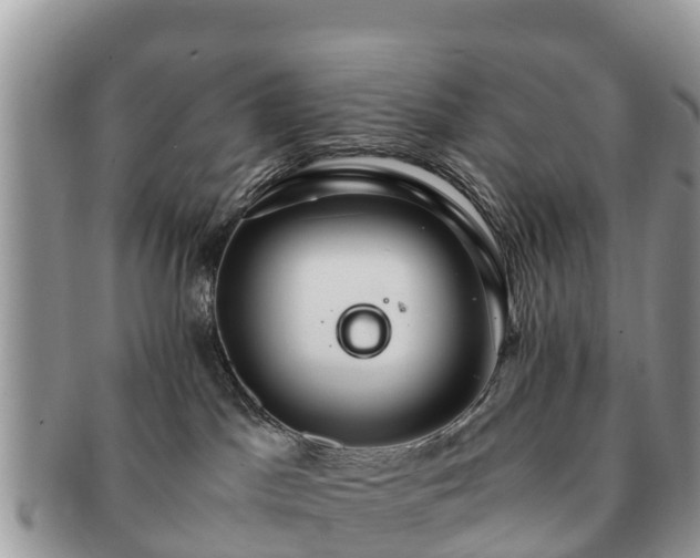 X0000091180045200708161526