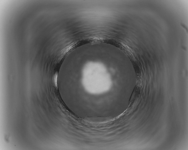 X0000091180047200708161526