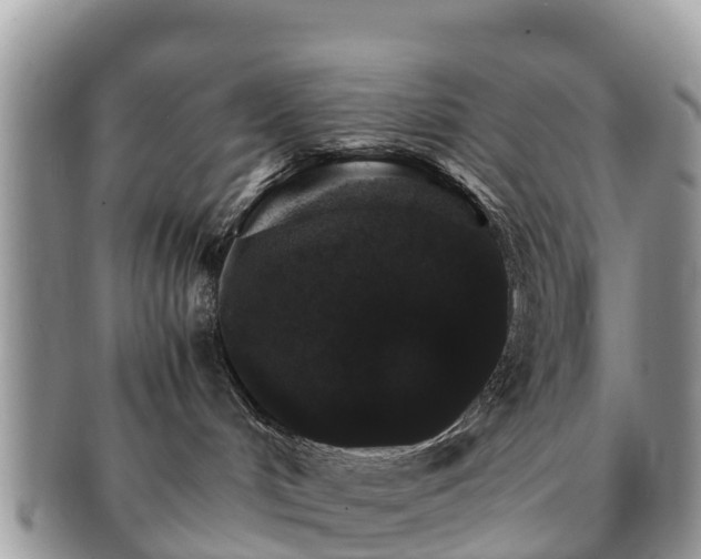 X0000091180048200708161526