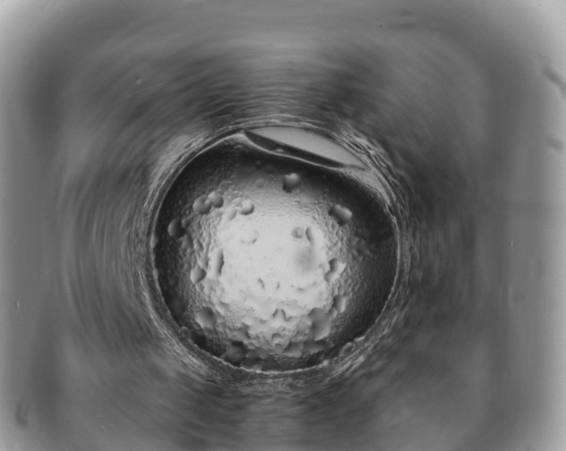 X0000091180049200708161525