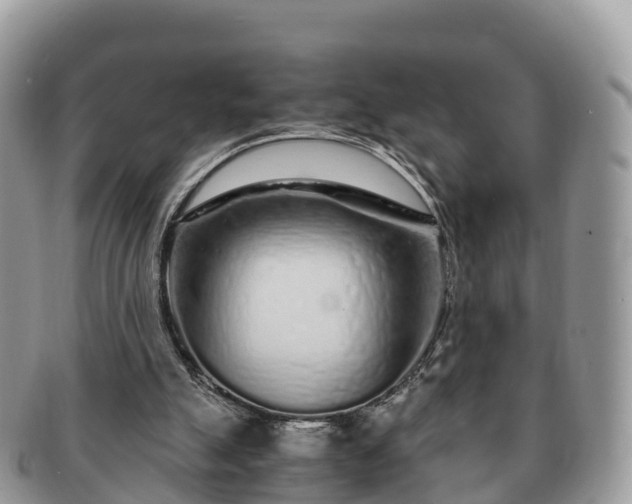 X0000091180055200708161526
