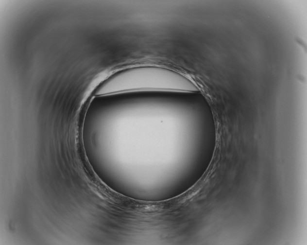 X0000091180056200708161526