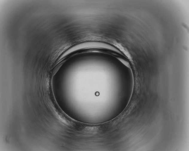 X0000091180057200708161526