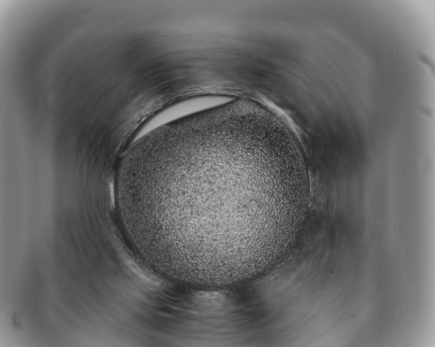 X0000091180061200708161526