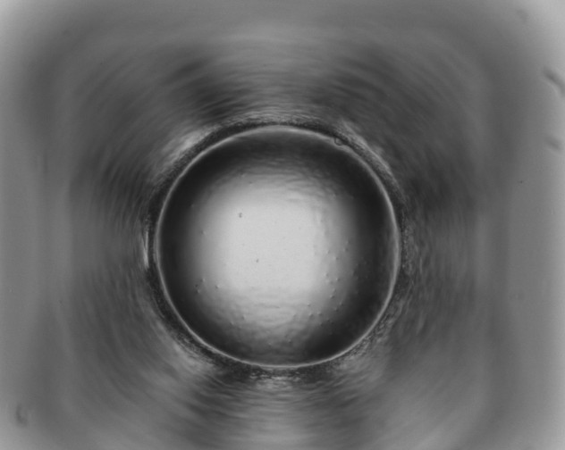 X0000091180062200708161526