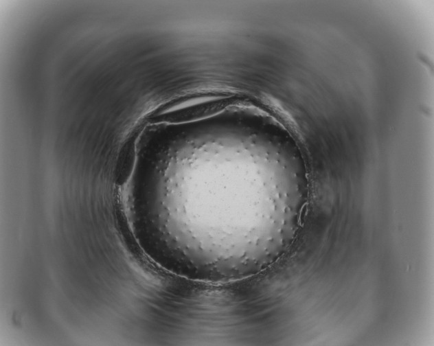 X0000091180063200708161526