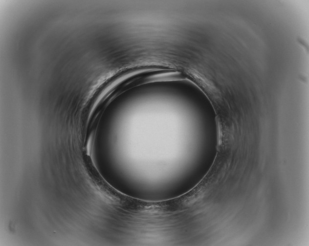 X0000091180064200708161526