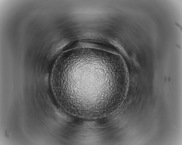 X0000091180066200708161526