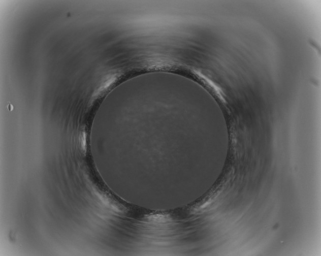 X0000091180067200708161526