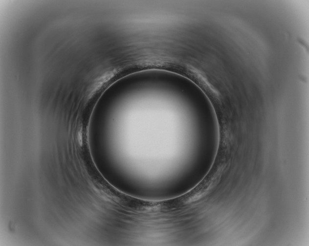 X0000091180068200708161526