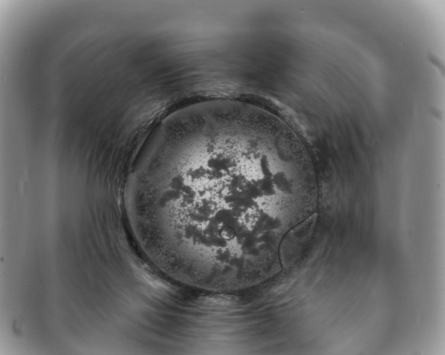 X0000091180069200708161526