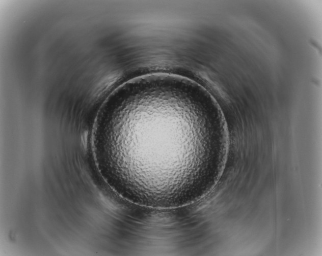 X0000091180070200708161526