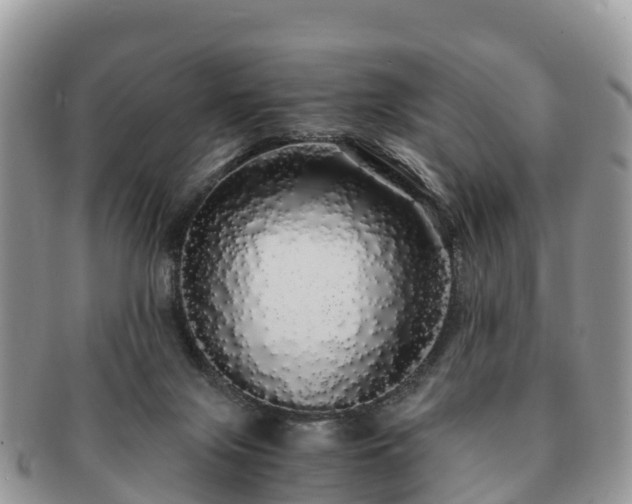 X0000091180071200708161526