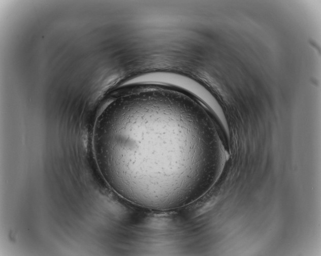 X0000091180072200708161526