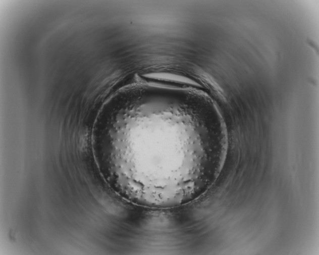 X0000091180073200708161526