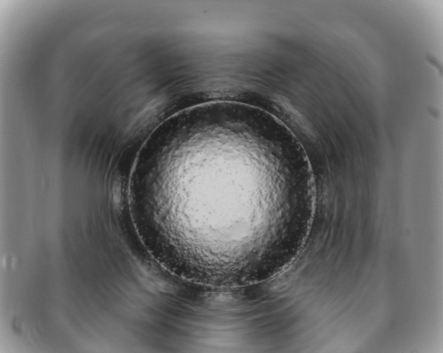 X0000091180074200708161526