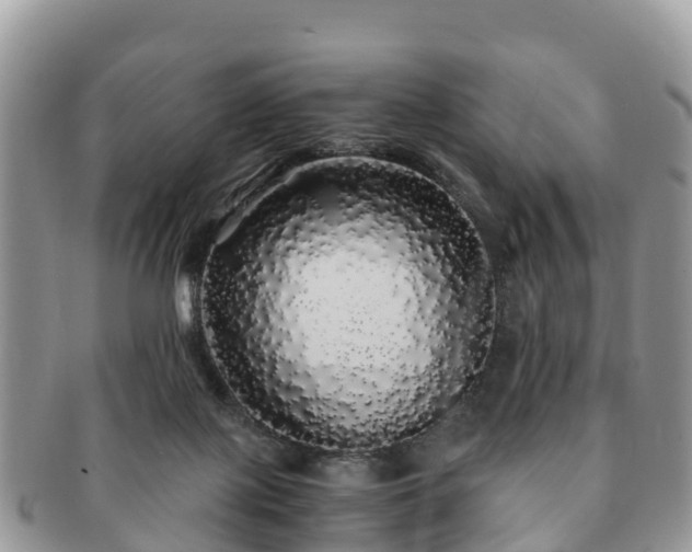 X0000091180075200708161526