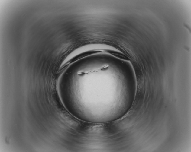 X0000091180078200708161526