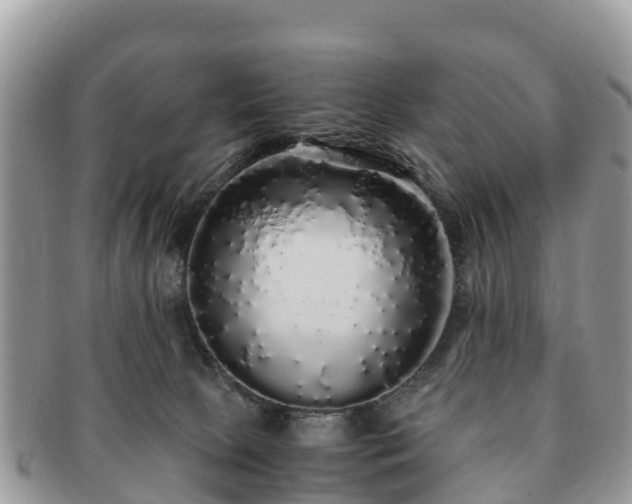 X0000091180081200708161526