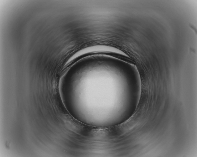 X0000091180082200708161526