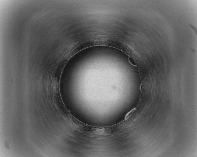 X0000091180083200708161526