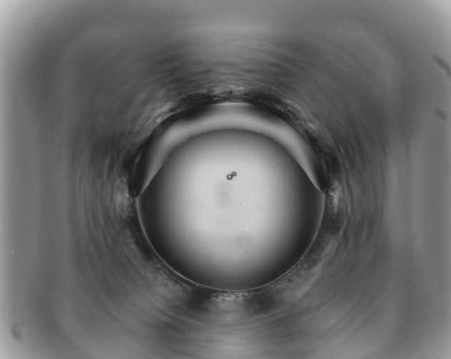 X0000091180084200708161526