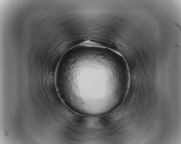 X0000091180085200708161526
