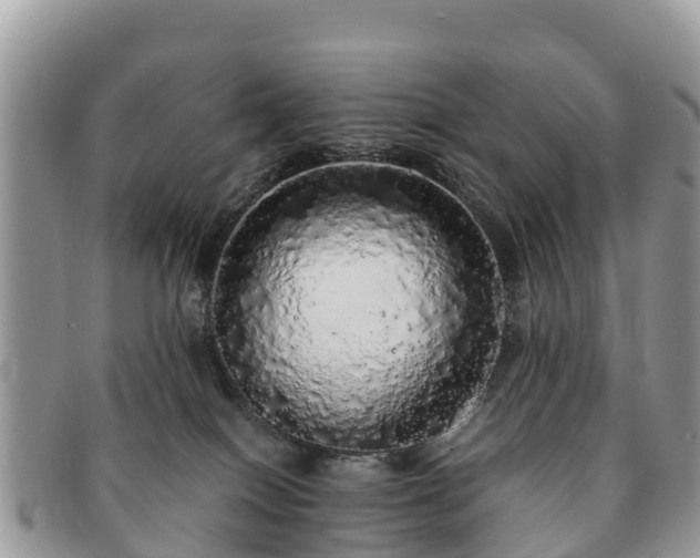 X0000091180086200708161526