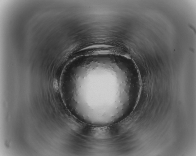X0000091180089200708161526