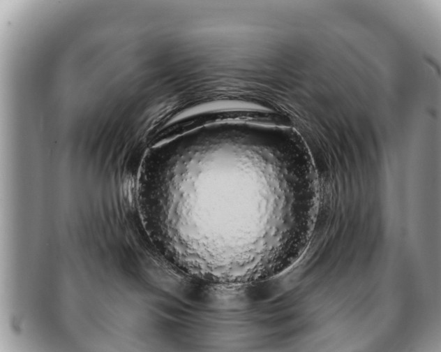 X0000091180094200708161526