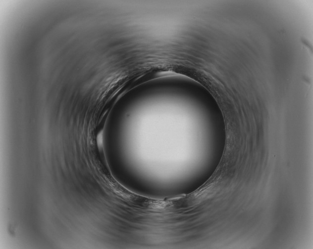 X0000091180096200708161526