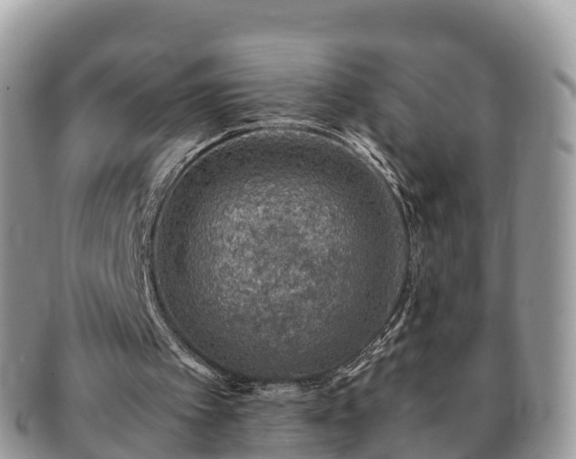 X0000091180097200708161525