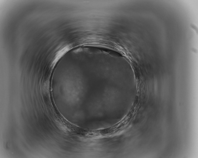 X0000091180099200708161525