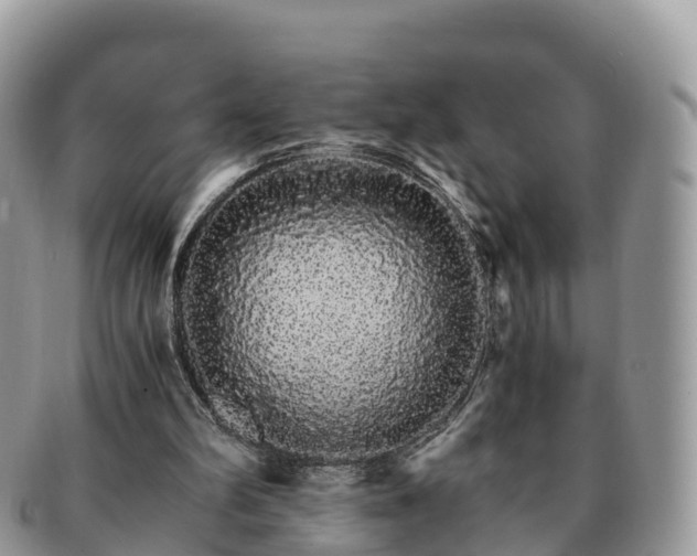 X0000091180102200708161525