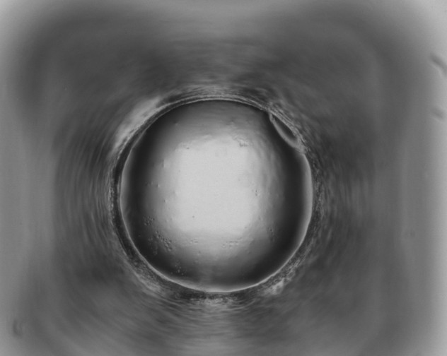 X0000091180103200708161525