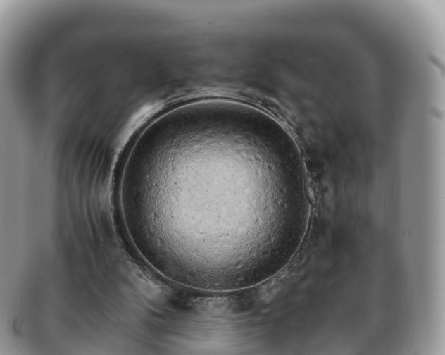 X0000091180104200708161525