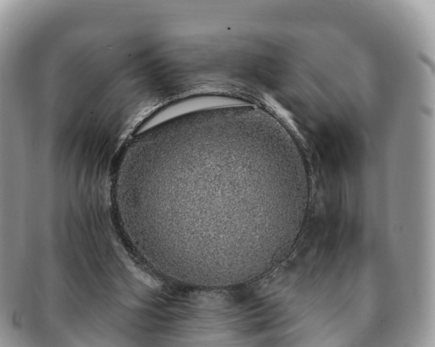 X0000091180106200708161525