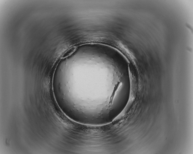 X0000091180107200708161525