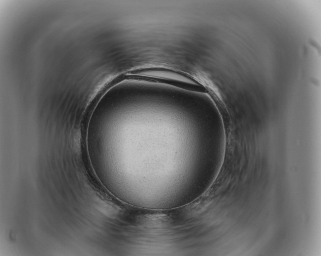 X0000091180108200708161525