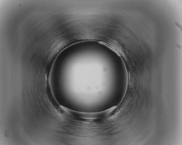 X0000091180109200708161525