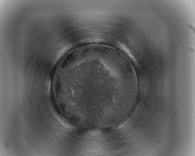 X0000091180110200708161525