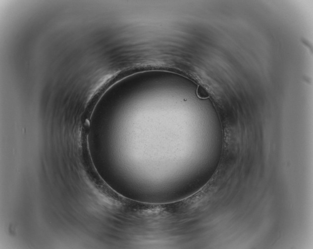 X0000091180112200708161525
